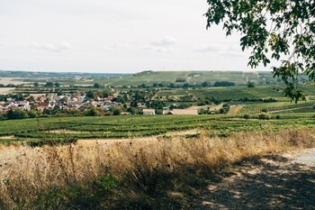 fields and houses