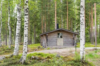 cabin_woods